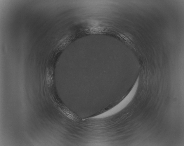 X0000054460507200508011505