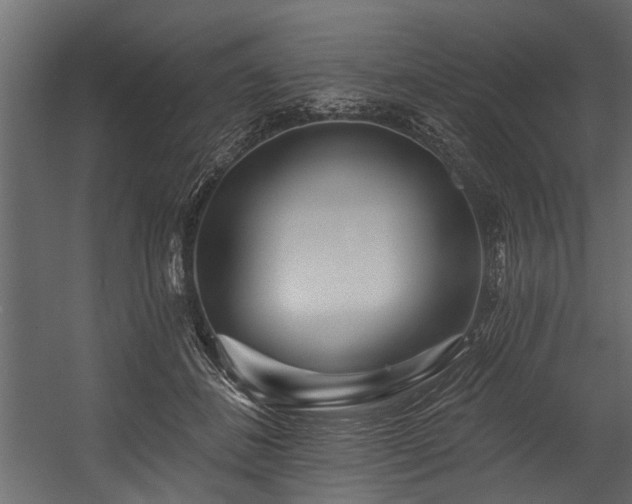 X0000054460508200508011505