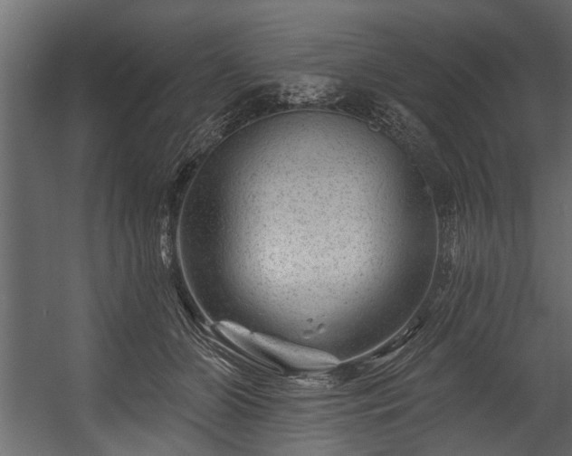 X0000054460510200508011505