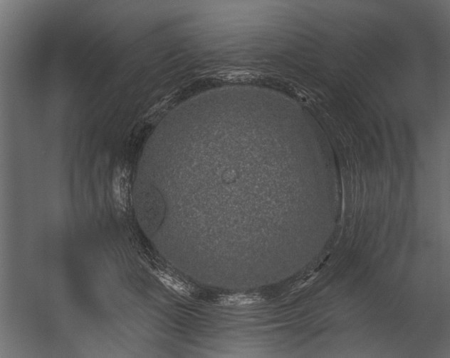 X0000054460511200508011505