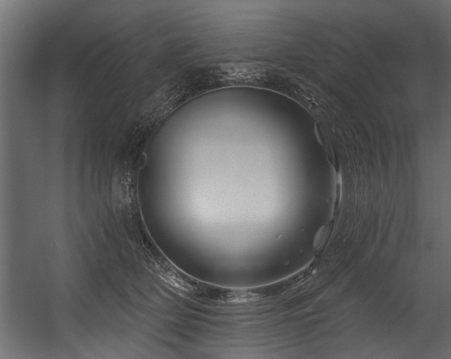 X0000054460514200508011505