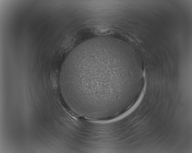 X0000054460515200508011505