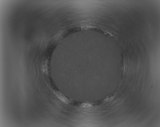 X0000054460519200508011505