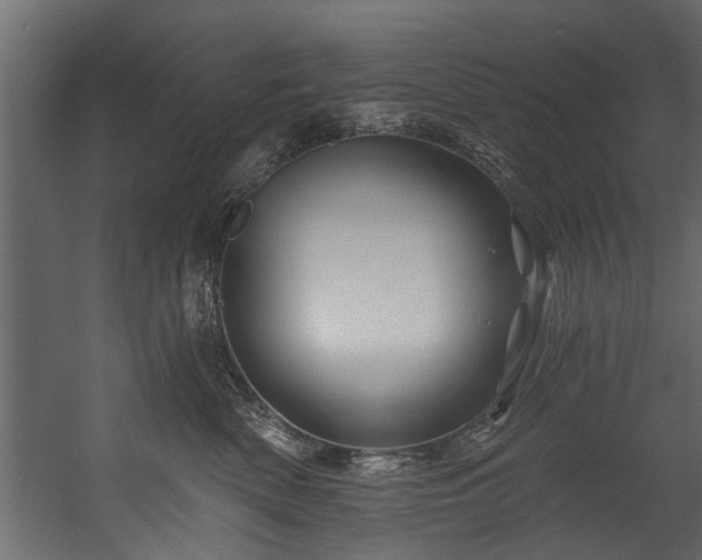 X0000054460522200508011505