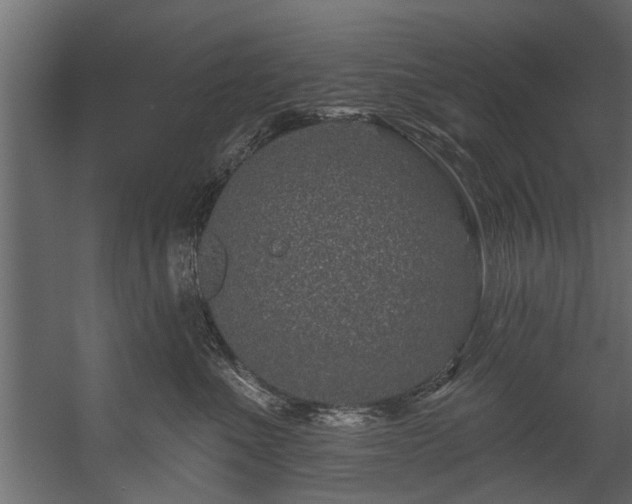 X0000054460523200508011505