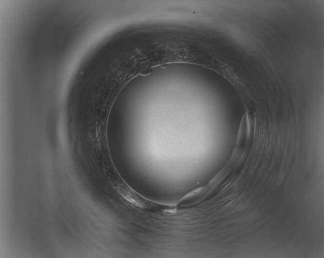 X0000054460524200508011505