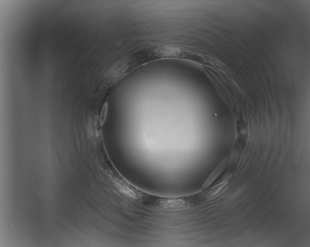 X0000054460525200508011505