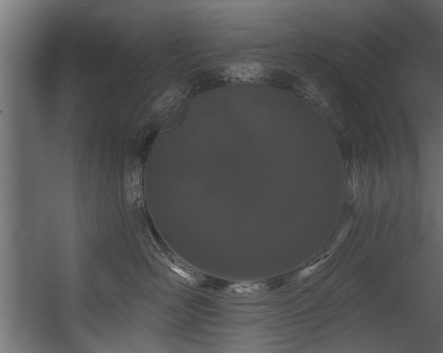 X0000054460526200508011505