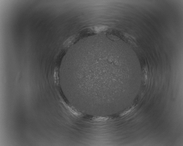 X0000054460527200508011505