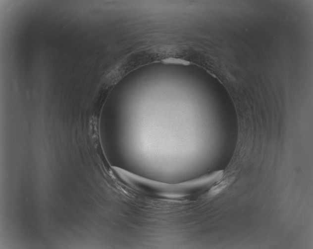 X0000054460528200508011505