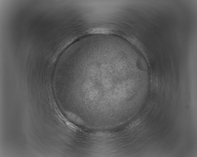 X0000054460529200508011504