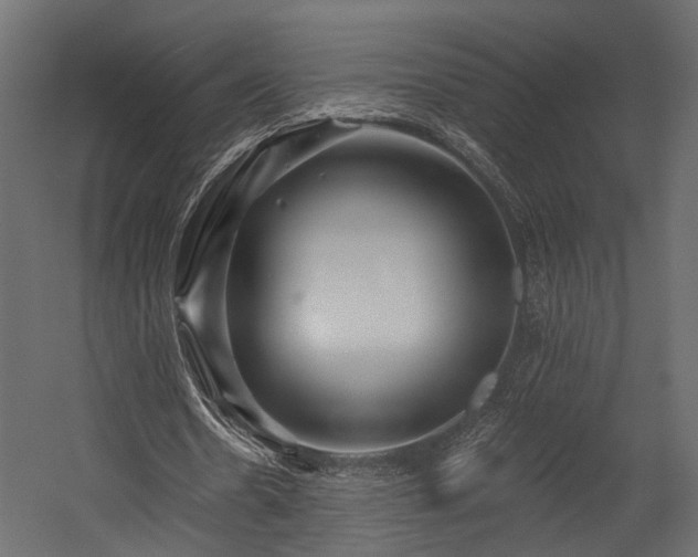 X0000054460530200508011504