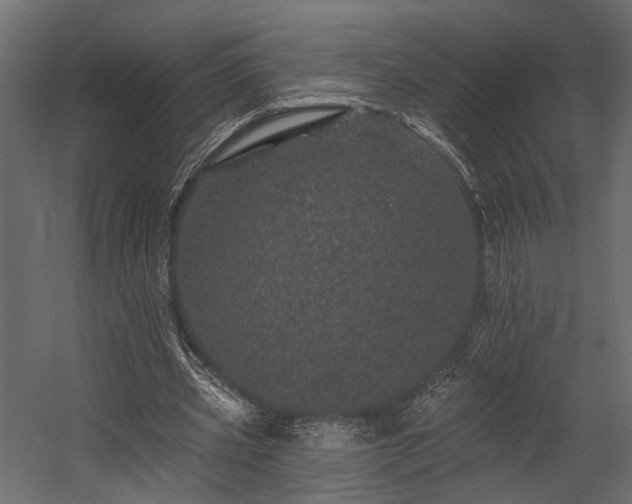 X0000054460533200508011504