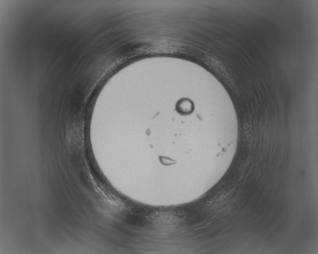 X0000054460534200508011504