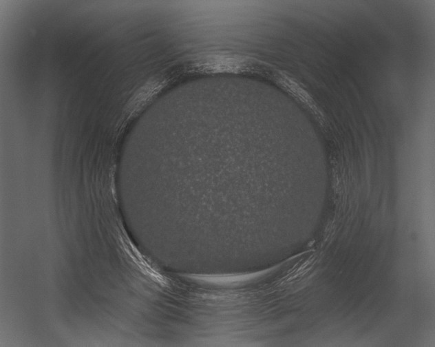 X0000054460537200508011504