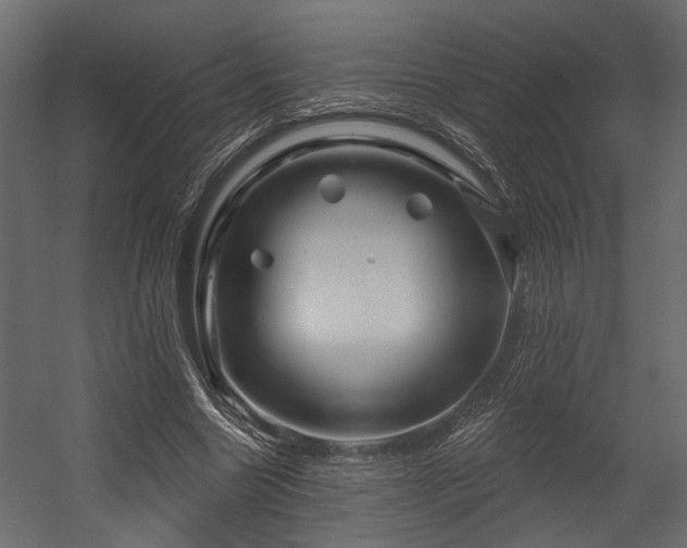 X0000054460538200508011504