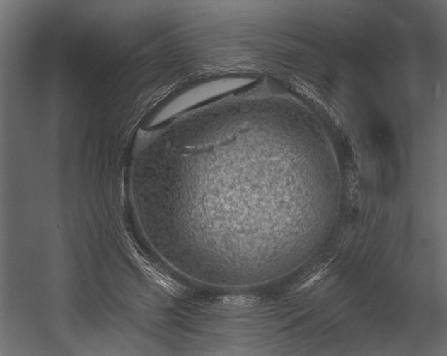 X0000054460541200508011504