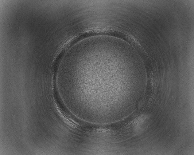 X0000054460542200508011504