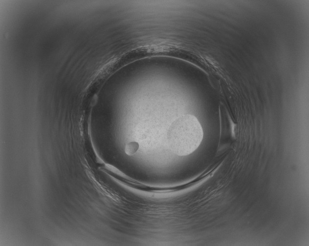 X0000054460543200508011504