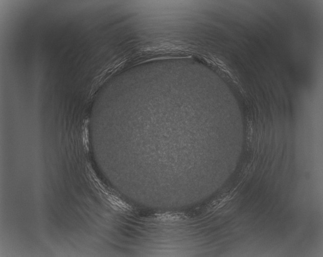 X0000054460545200508011504