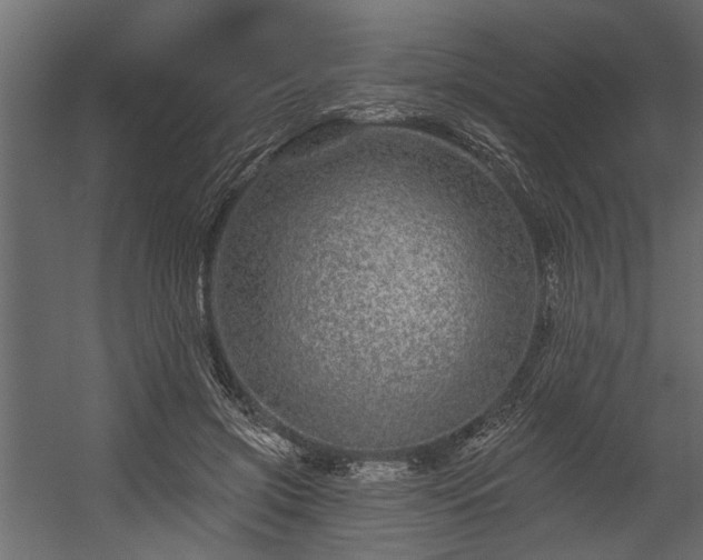 X0000054460549200508011504