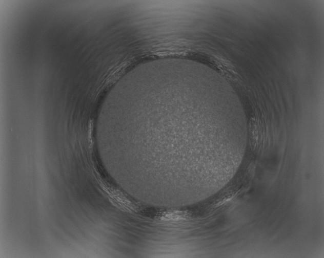 X0000054460550200508011504