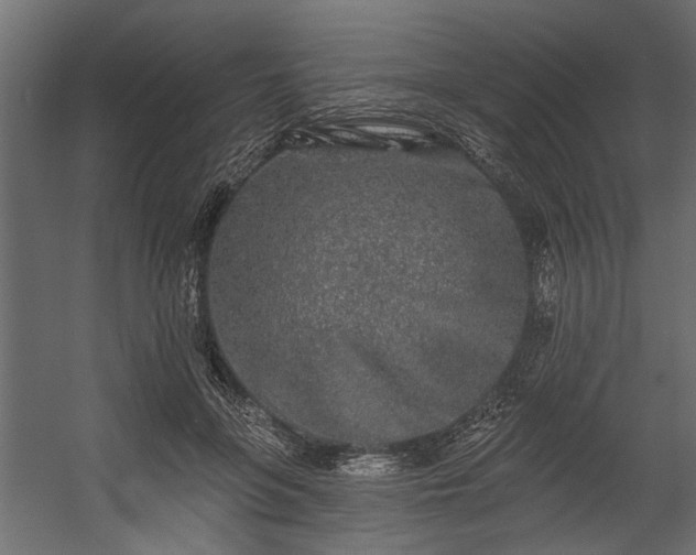 X0000054460551200508011504