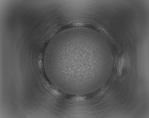 X0000054460553200508011504