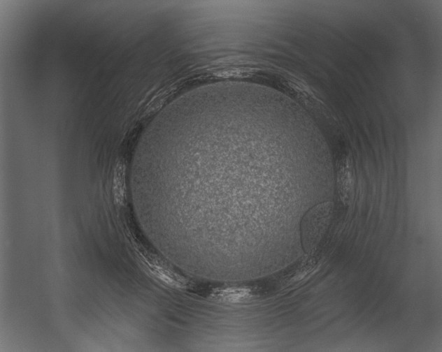 X0000054460554200508011504