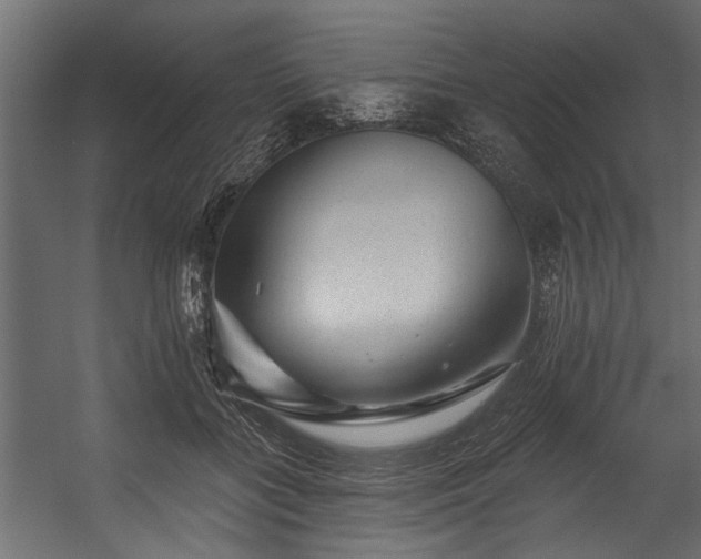 X0000054460555200508011504