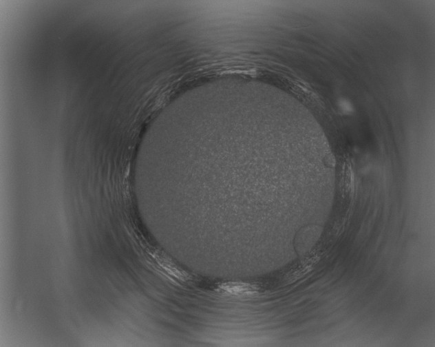 X0000054460557200508011504