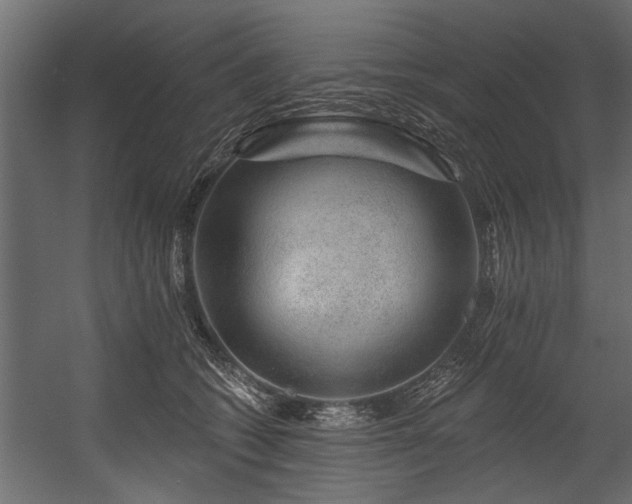 X0000054460562200508011504