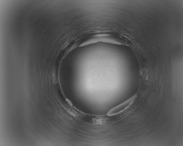 X0000054460564200508011504