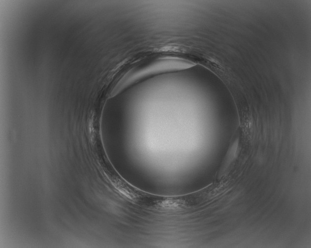 X0000054460566200508011504