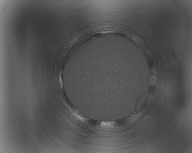 X0000054460573200508011505