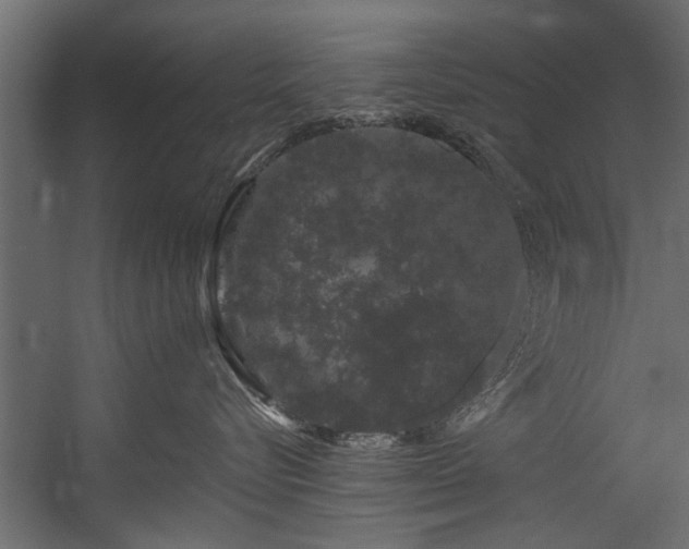 X0000054460576200508011505