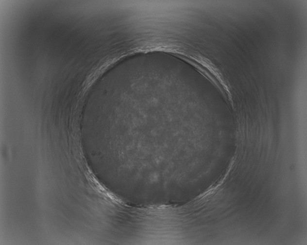 X0000054460577200508011504