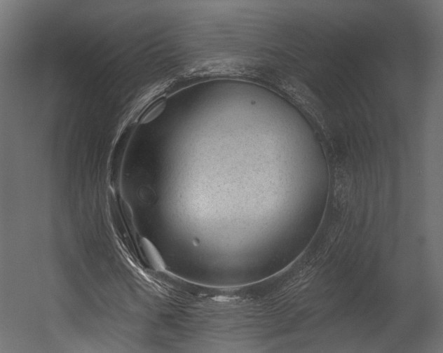 X0000054460578200508011504