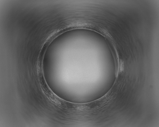 X0000054460579200508011504