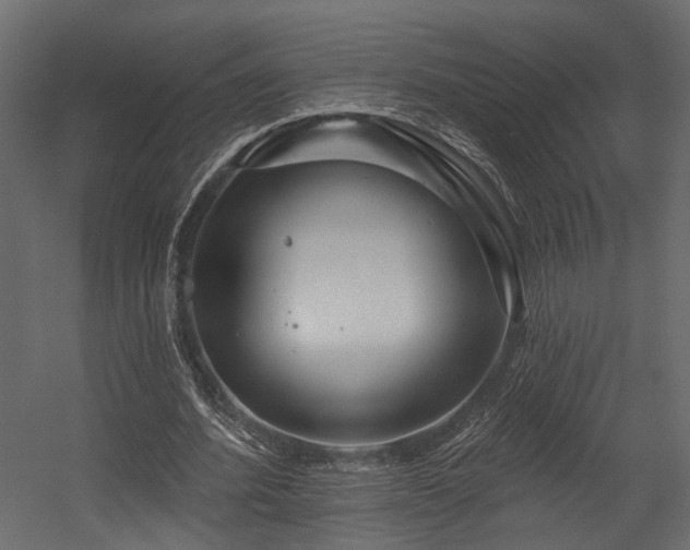 X0000054460580200508011504