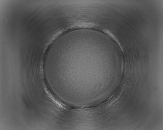 X0000054460581200508011504