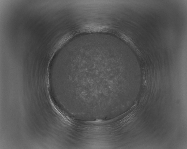 X0000054460582200508011504