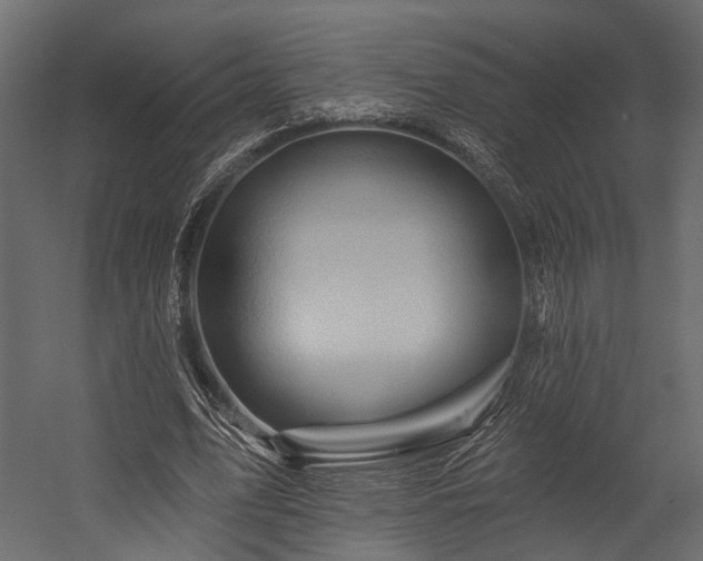 X0000054460583200508011504