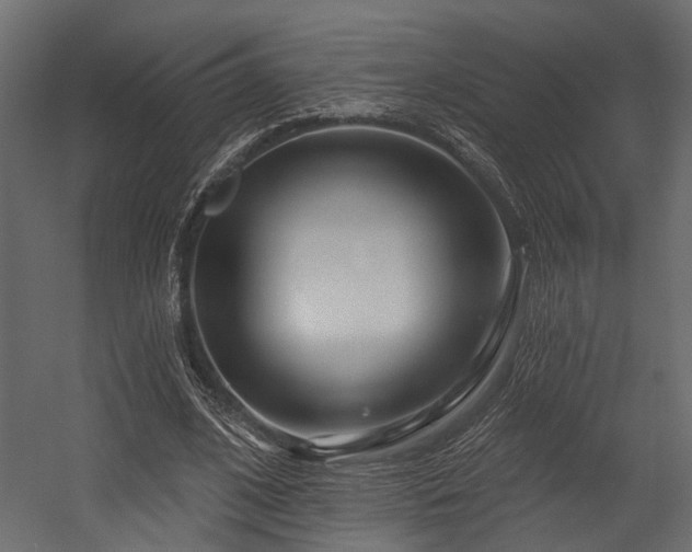 X0000054460584200508011504