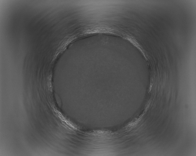 X0000054460585200508011504