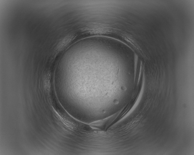 X0000054460586200508011504