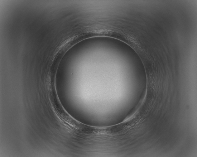 X0000054460587200508011504