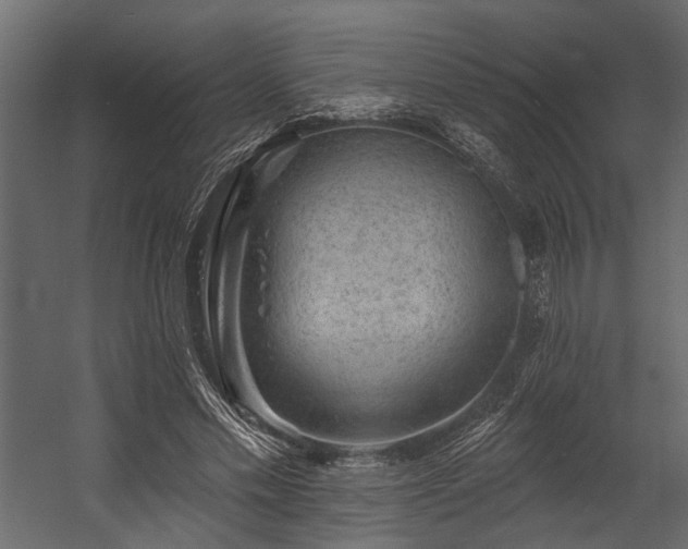 X0000054460589200508011504