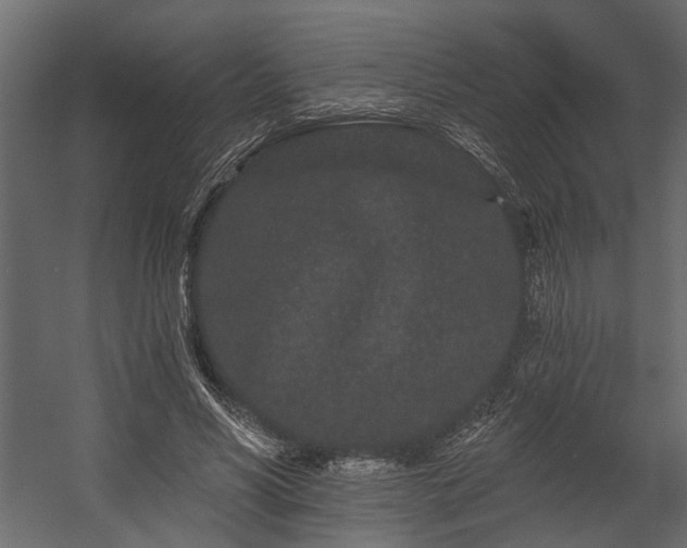 X0000054460590200508011504