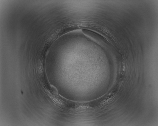 X0000054460593200508011504